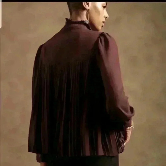 Banana Republic Chiffon Pleated Blouse - Picture 5 of 12